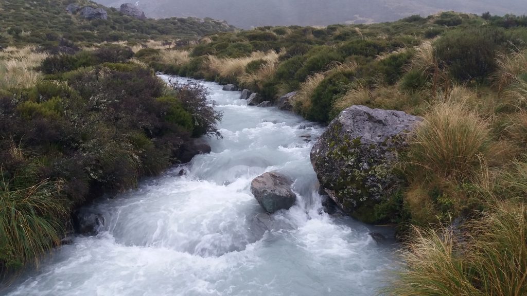 Hooker Valley track Mont Cook