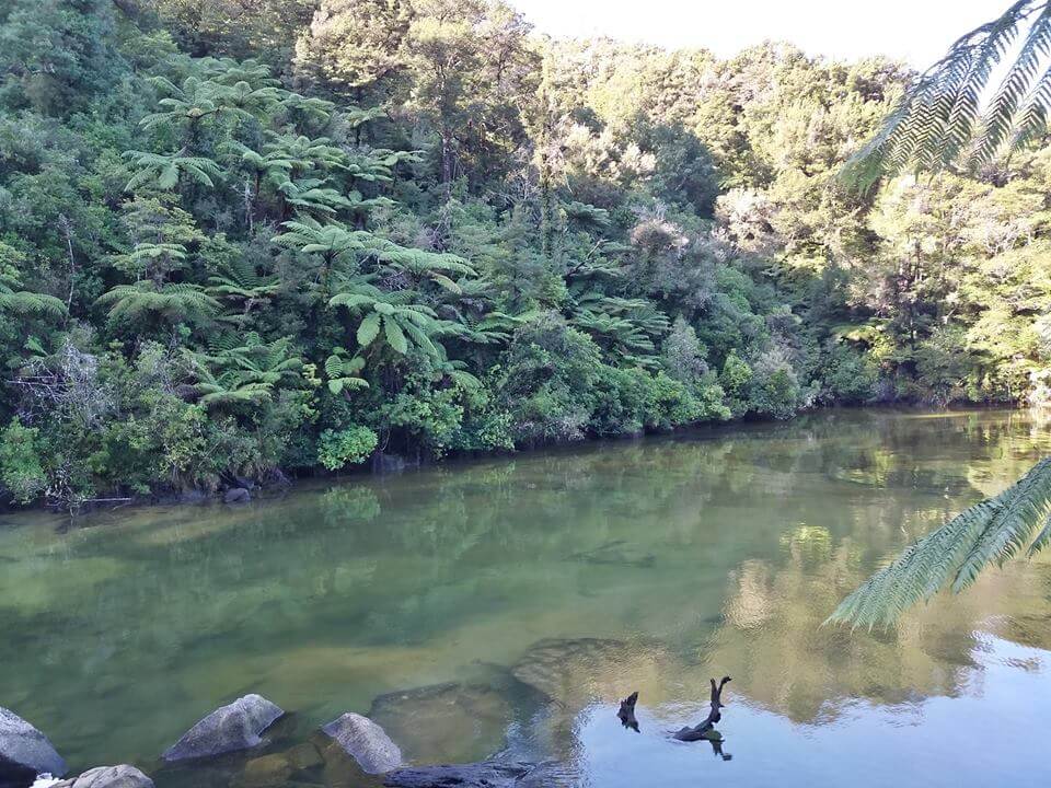 Abel Tasman - Nouvelle-Zélande