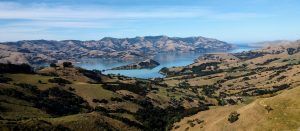 Akaroa - Banks peninsula - Nouvelle-Zélande