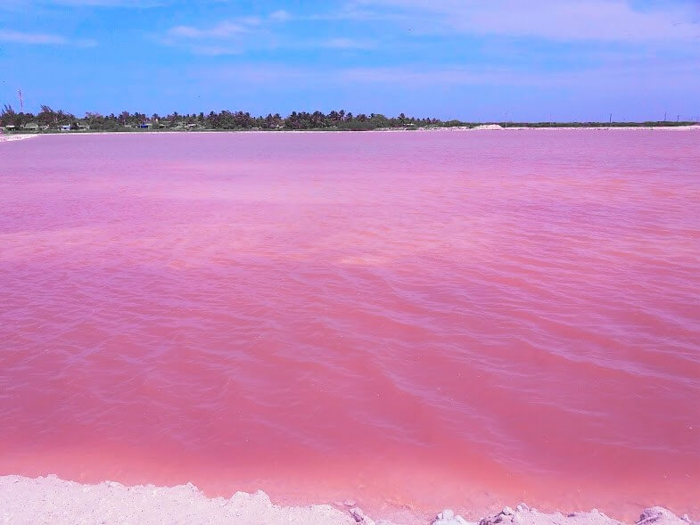 Pink Lake Las Coloradas - peninsule du Yucatan - Mexique