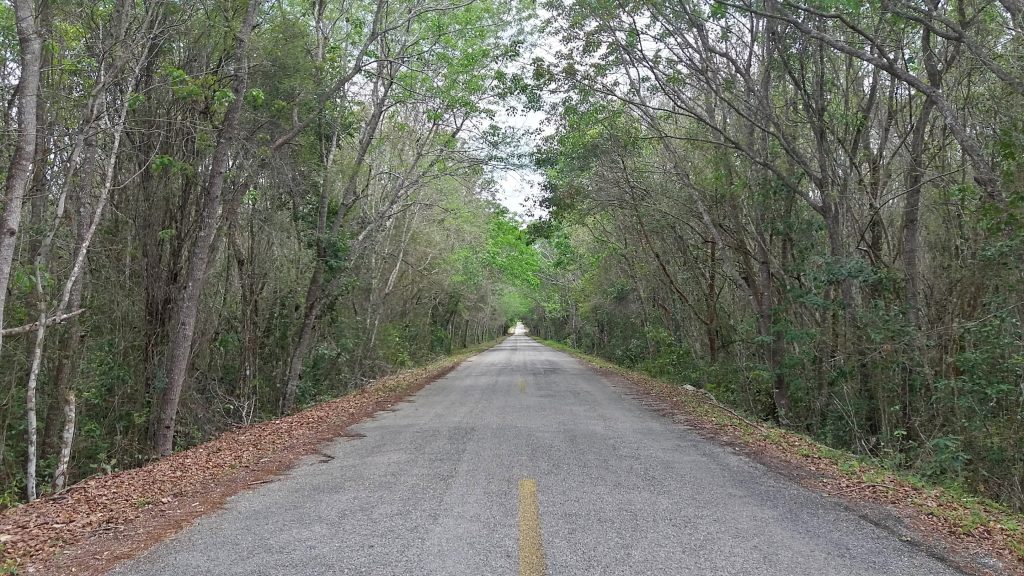 calakmul road - peninsule du Yucatan - Mexique