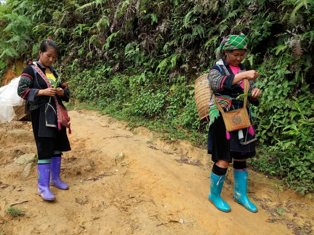 Femme Hmong Sapa Vietnam