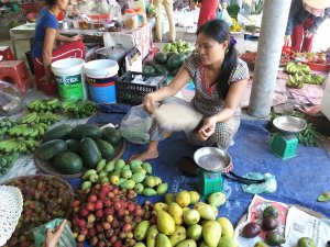 Marche traditionnel Vietnam fruits