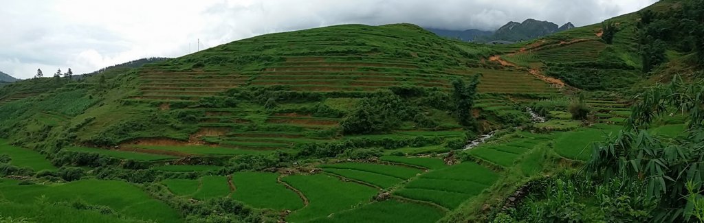 Riziere Sapa Vietnam