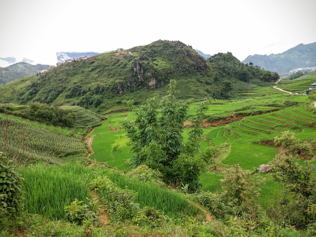 Riziere et montagne Sapa Vietnam