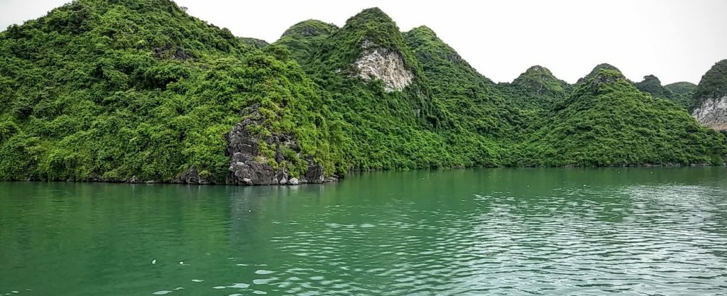 Ilot rocheux Halong Bay VietnamIlot rocheux Halong Bay Vietnam