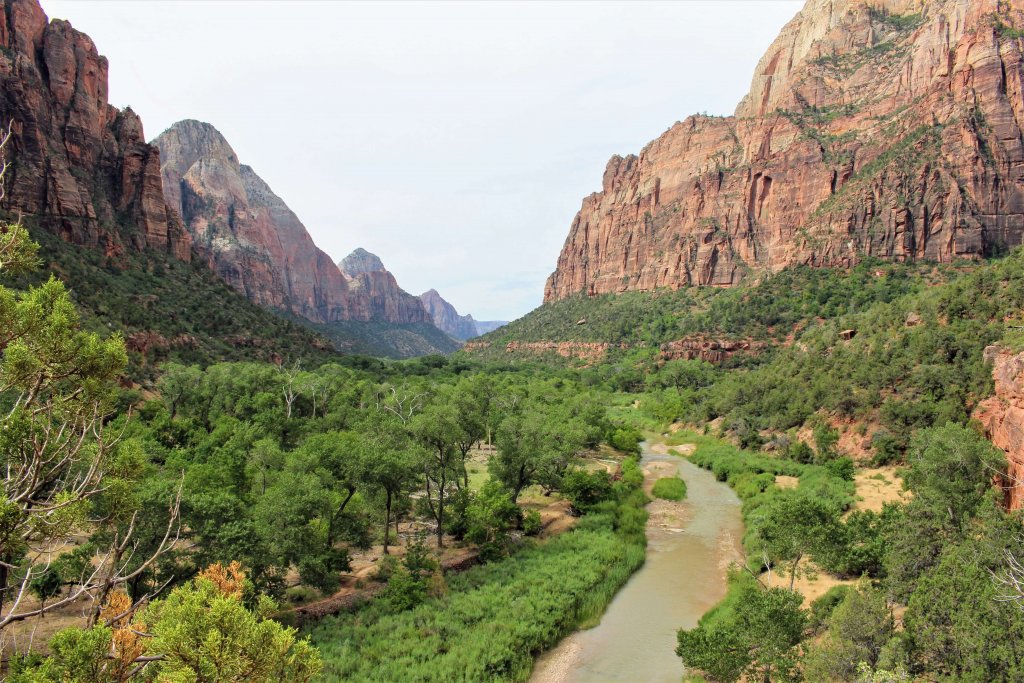 Zion national park