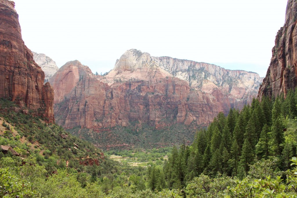 Zion national park vue