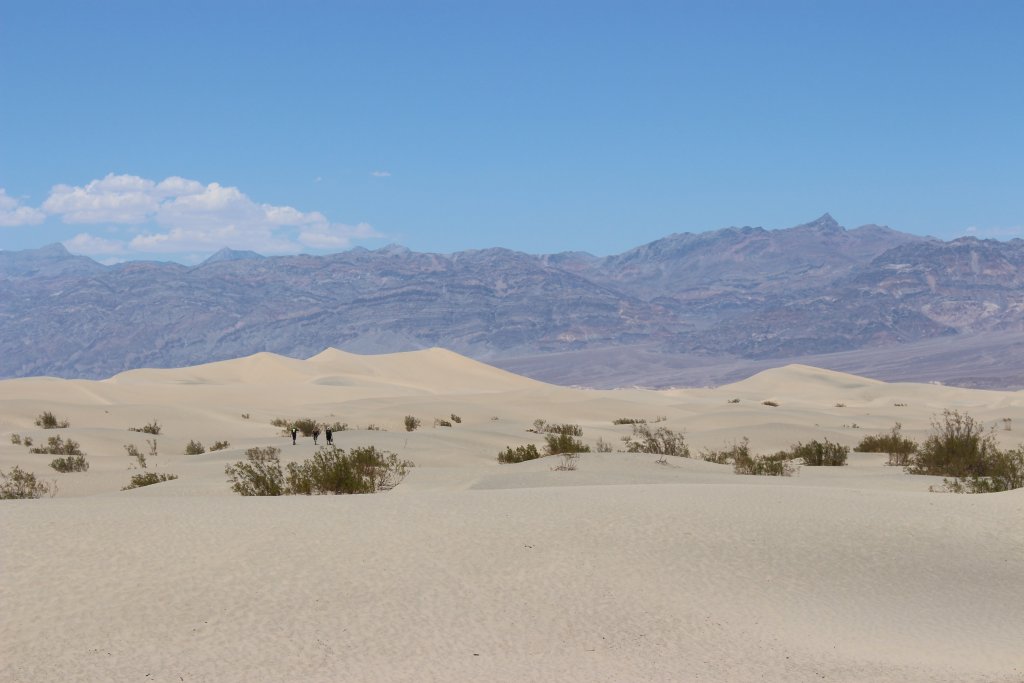 mesquito sand dunes death valley
