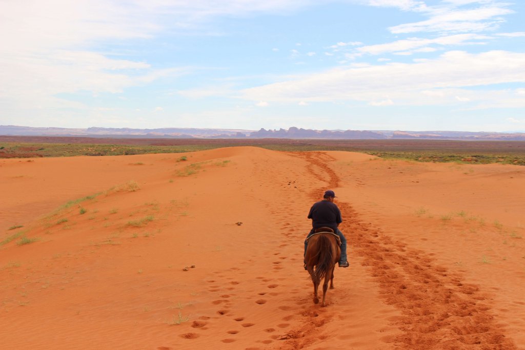 cheval desert monumen valley