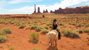 Cheval wester - monument valley