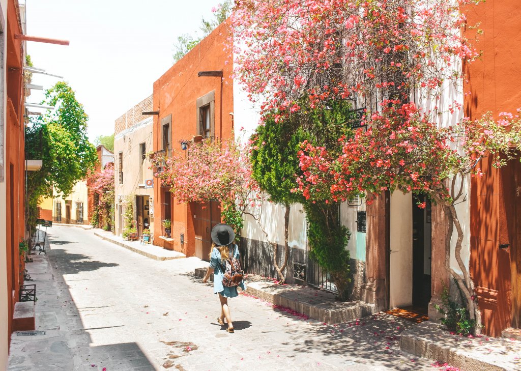 san miguel de allende rue fleur mexique