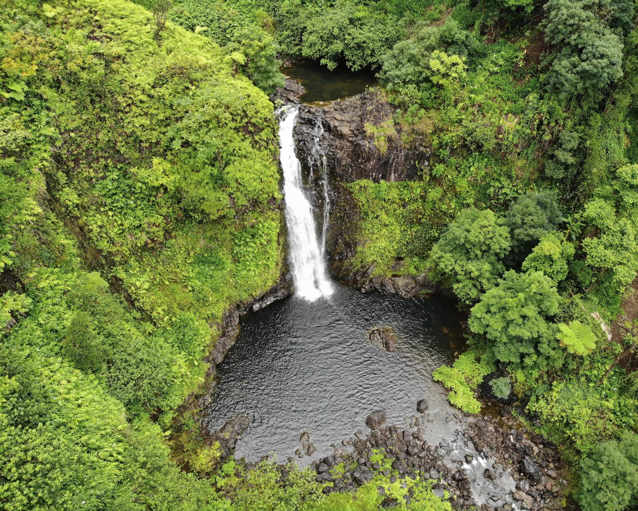 Cascade Hana Road Maui Hawai Drone 