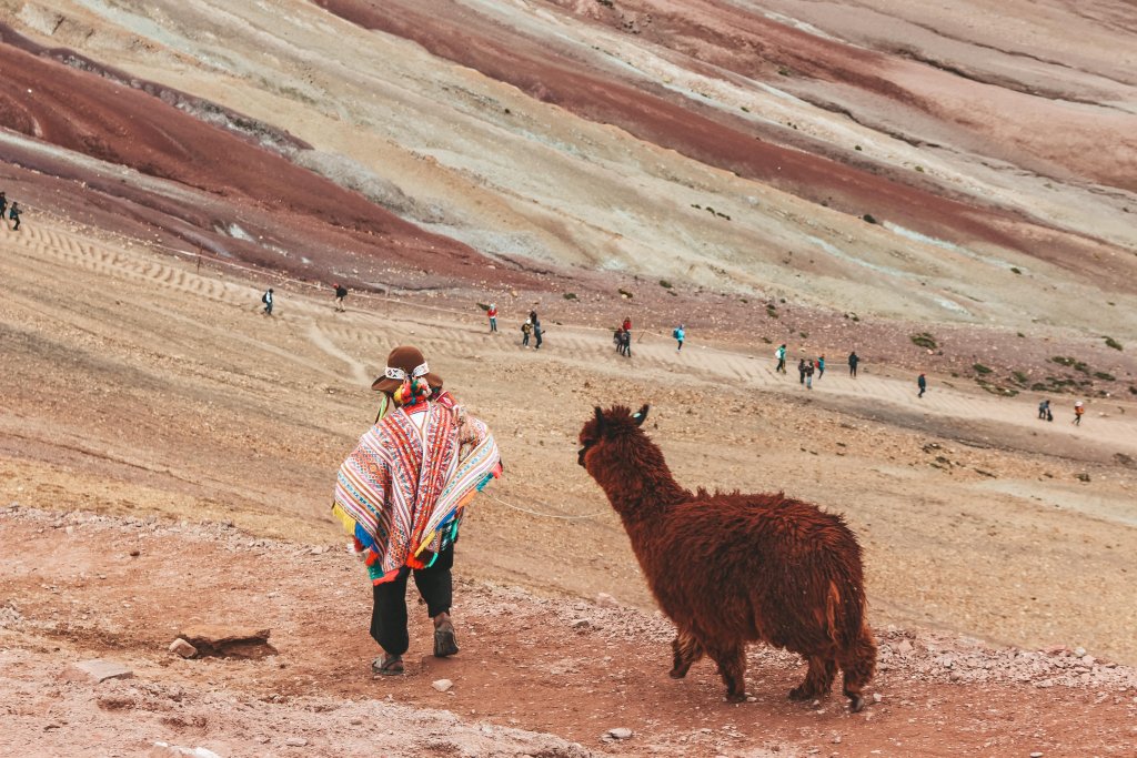 rainbow mountain lama cusco perou