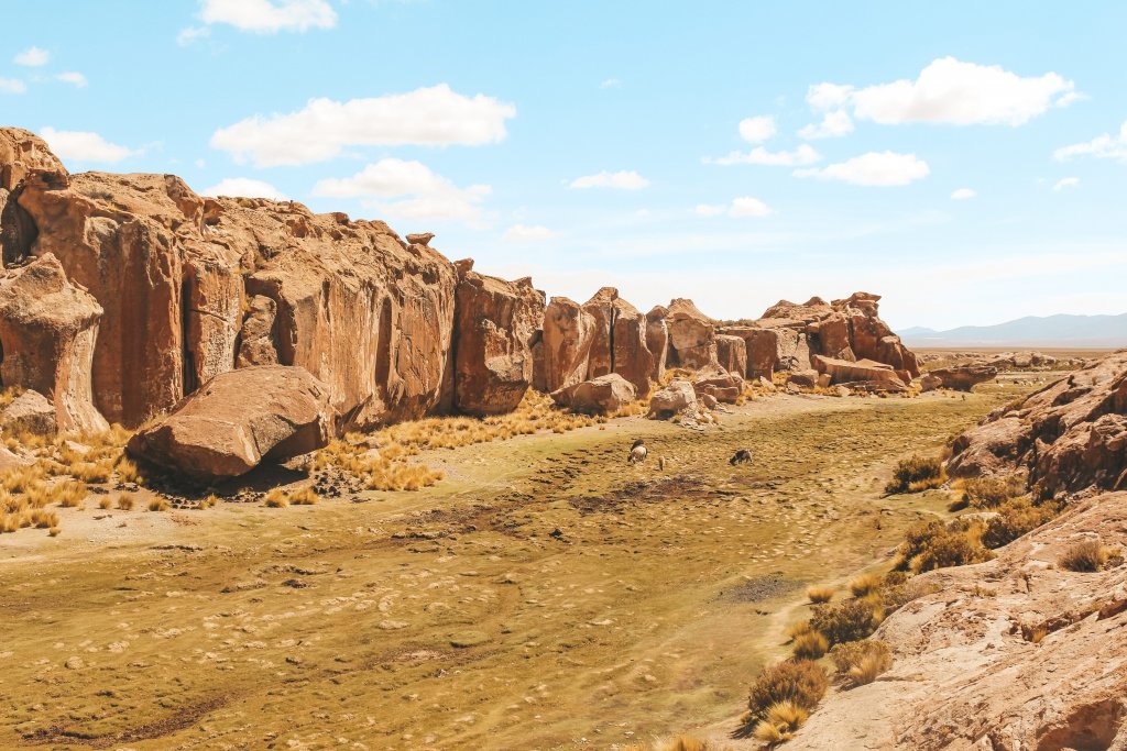 chemin pour laguna negra sud lipez bolivie