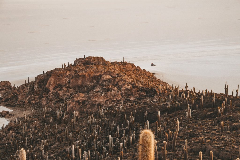 ile aux cactus salar de uyuni bolivie