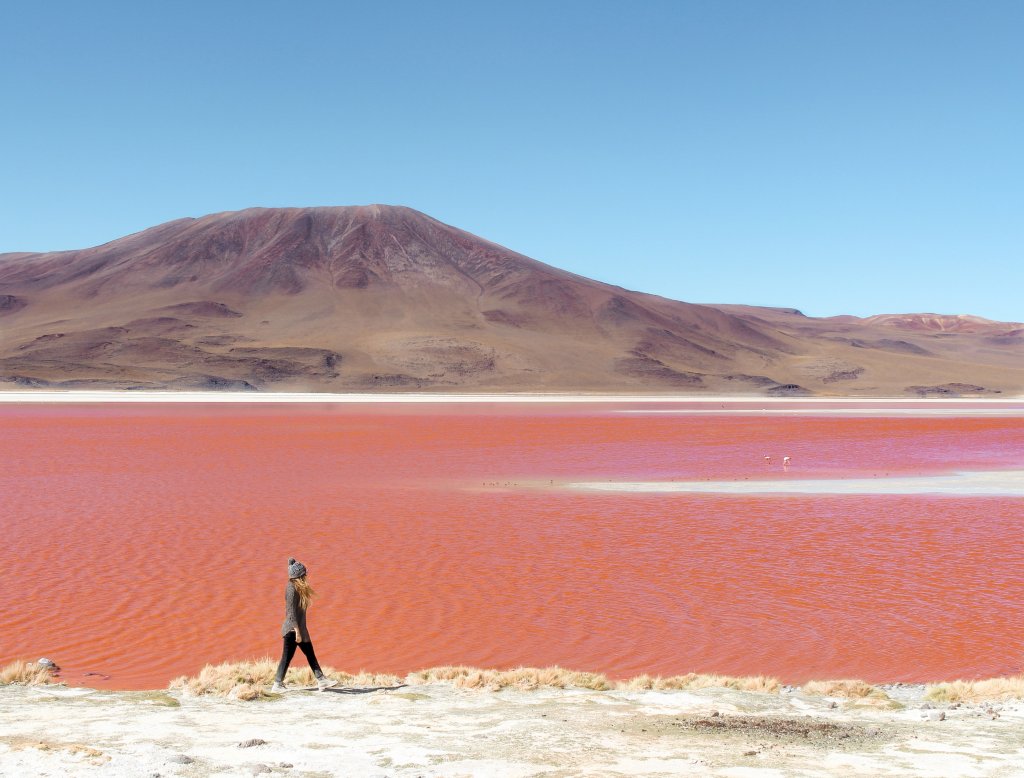 laguna colorada bolivie sud lipez lac