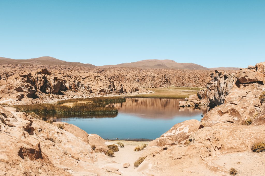 laguna negra sud lipez bolivie