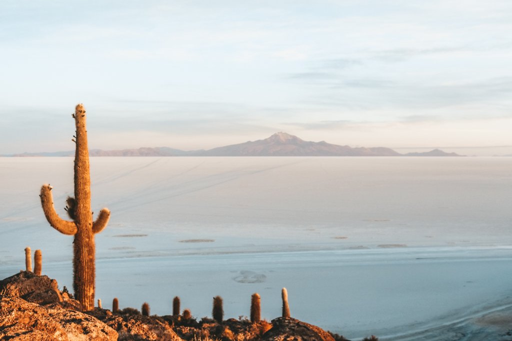 leve de soleil cactus salar uyuni bolovie