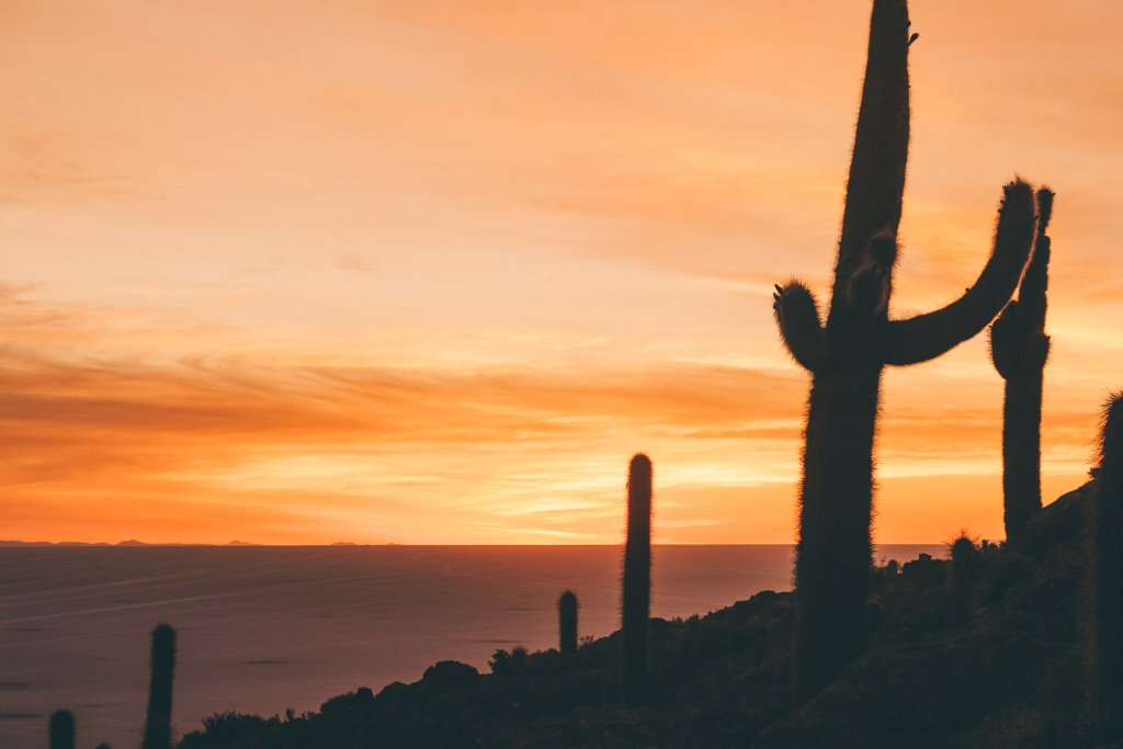 lever de soleil ile aux cactus bolivie