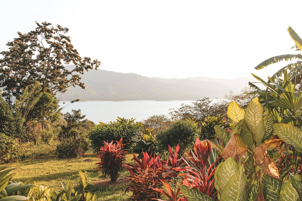 jardin hotel ceiba lodge costa rica