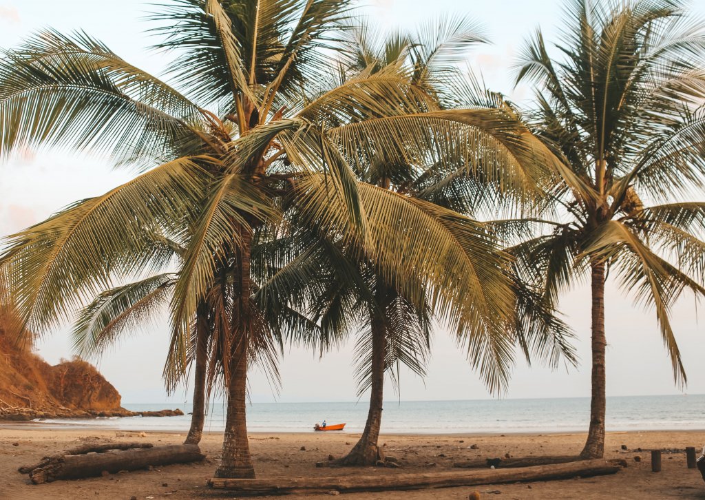 plage organo peninsule nicoya costa rica