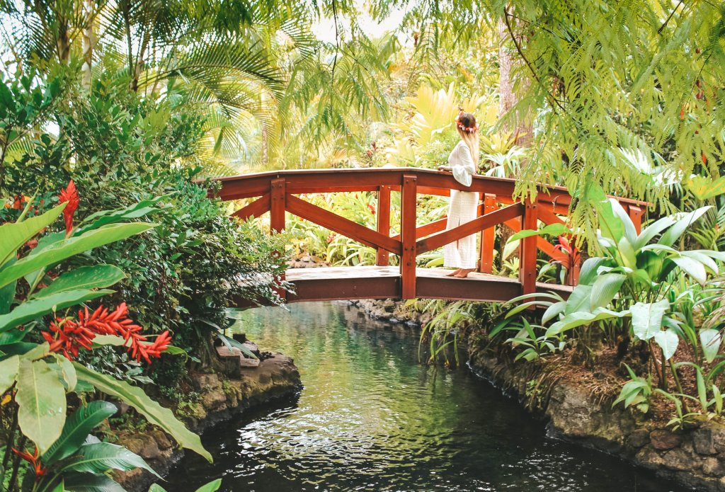 pont jardin tabaccon costa rica