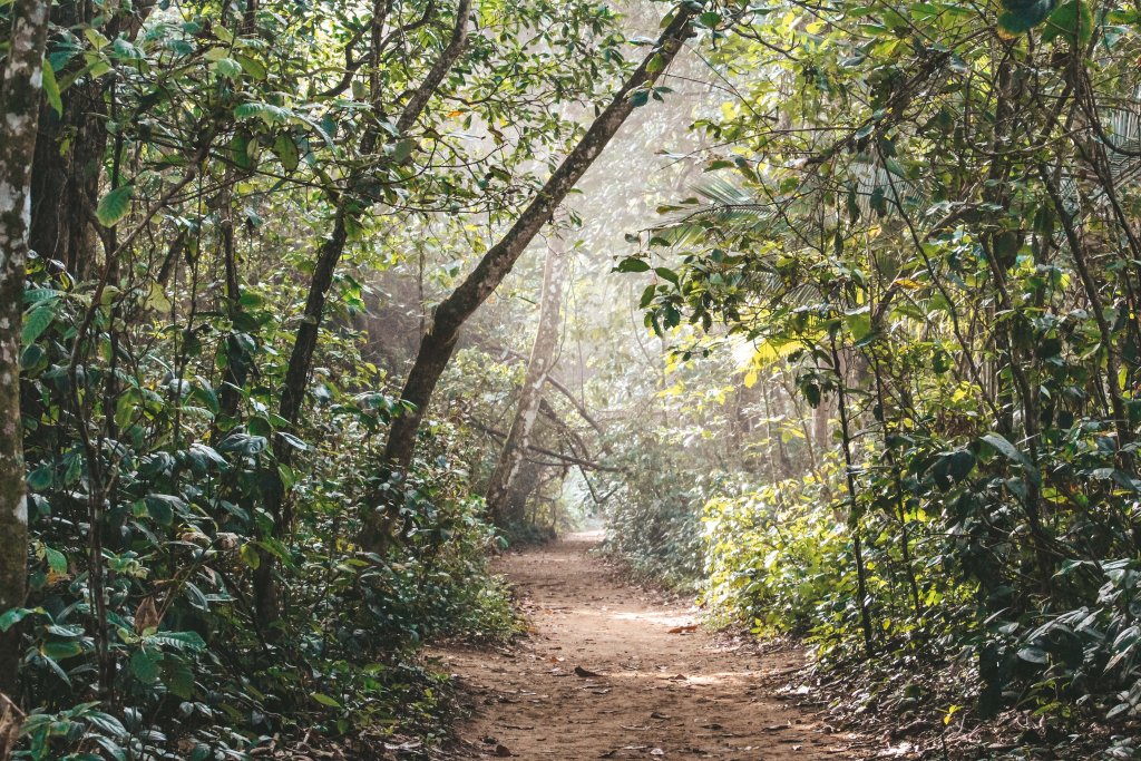 sentier parc national cahuita