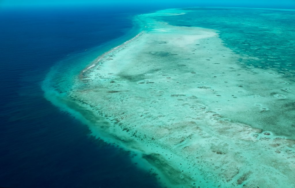 Barriere de corail Belize