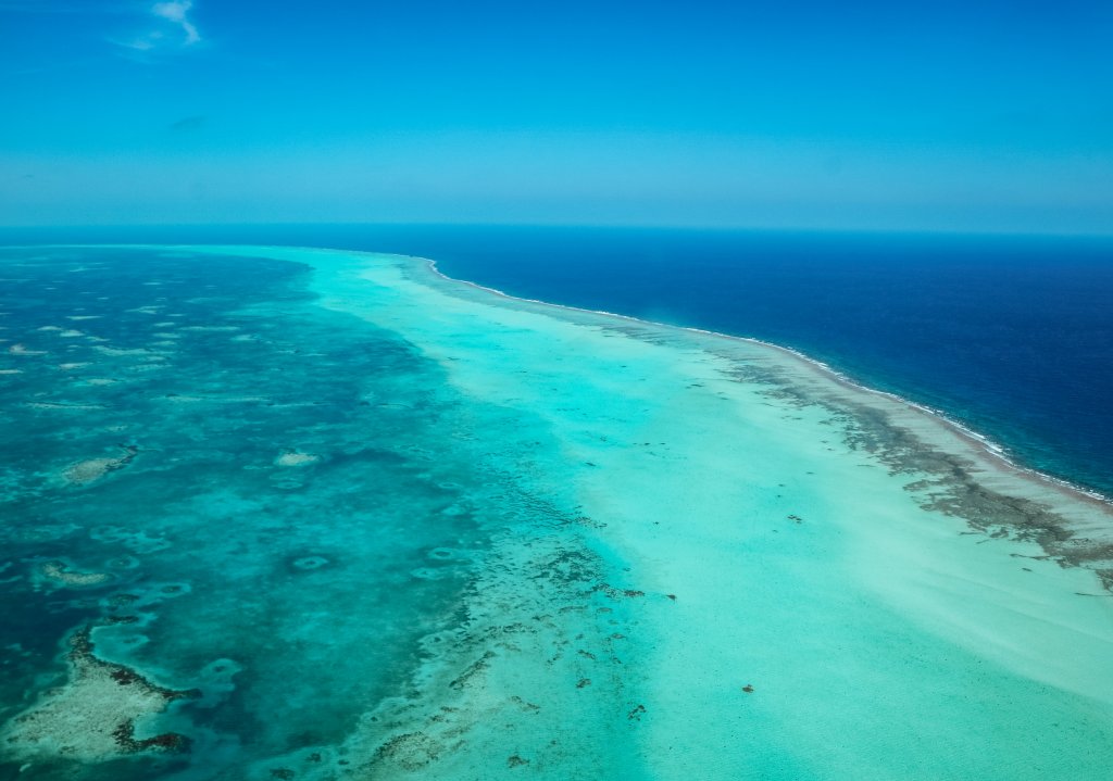 Barriere de corail Belize Caye Caulker
