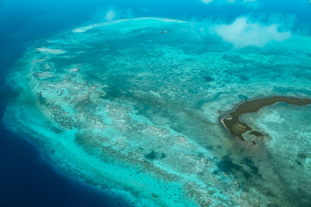 Belize barriere de corail