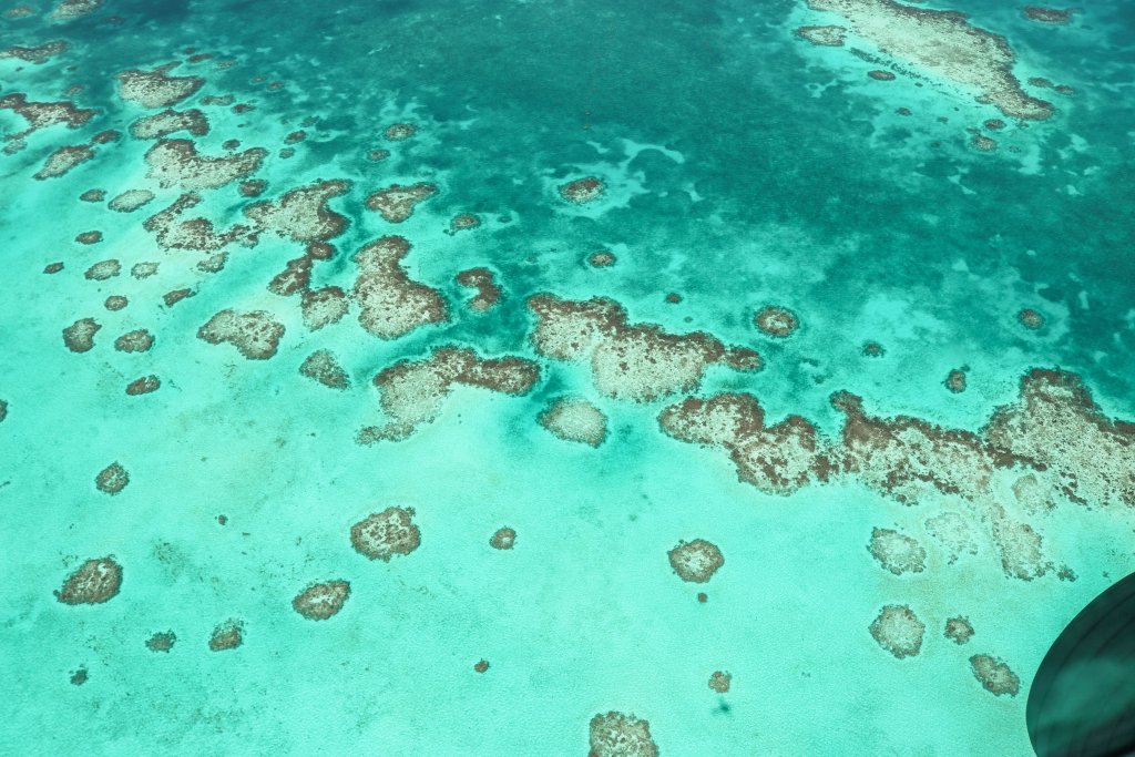 Récif Belize survol avion