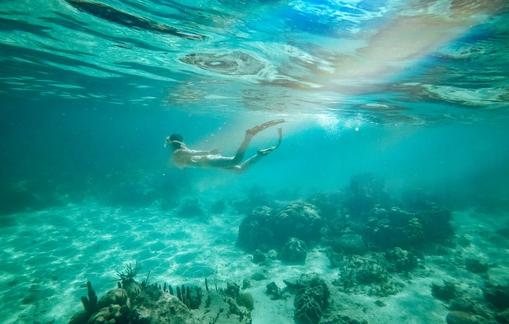 Snorkeling caye caulker belize