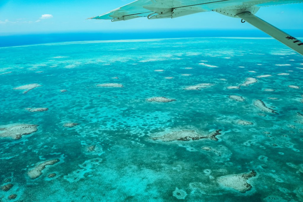 Vue sur le récif Belize