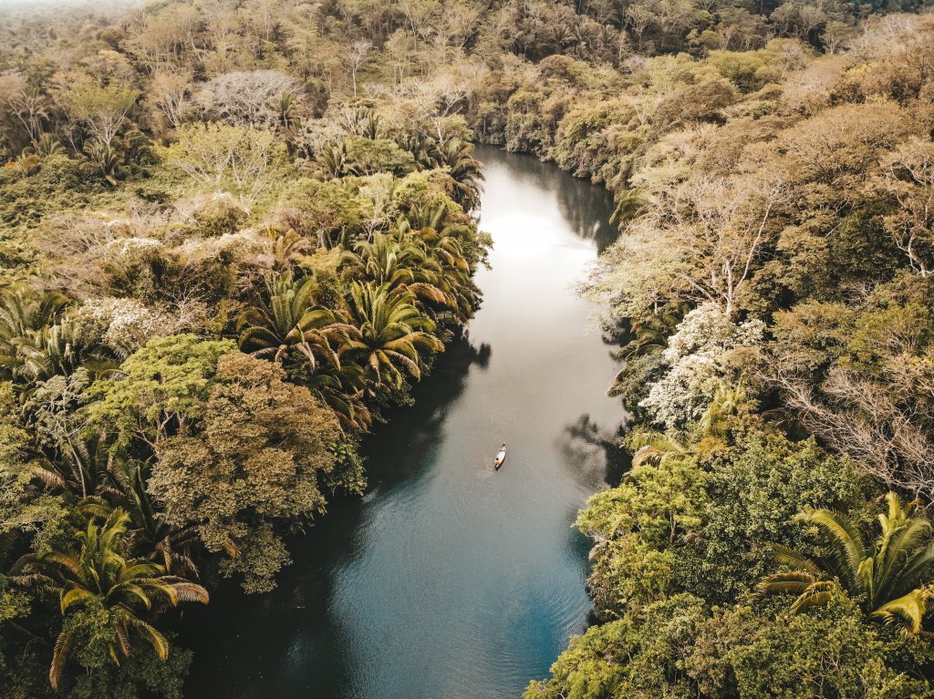 copal tree lodge punta gorda belize