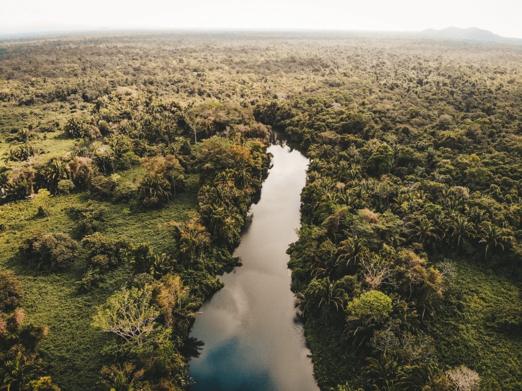 drone view punta gorda copal tree lodge river