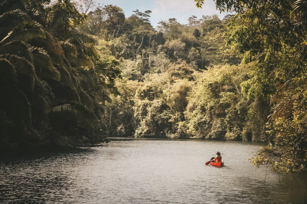 kayak river rio grande belize copal tree lodge