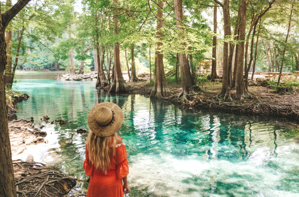 floride ginnie springs dogwood