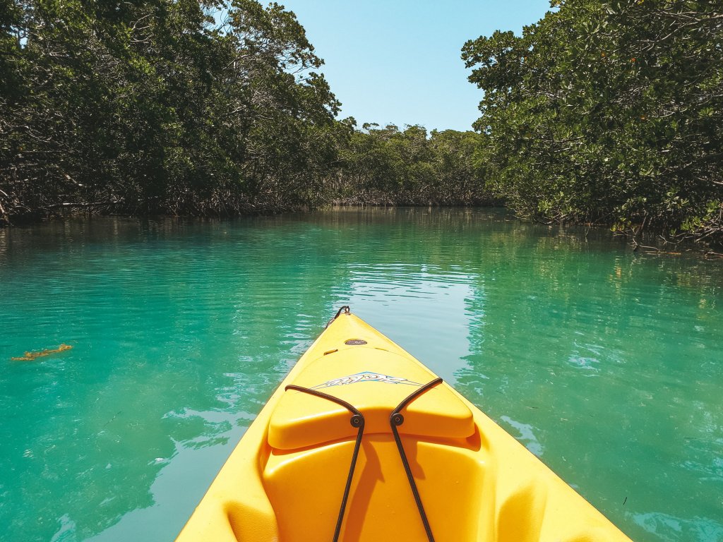 floride kayak keys islamorada mangrove