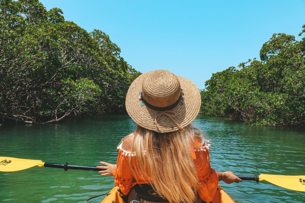 mangrove kayak floride keys