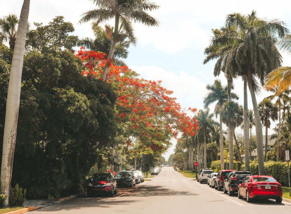 naples rue floride ouest