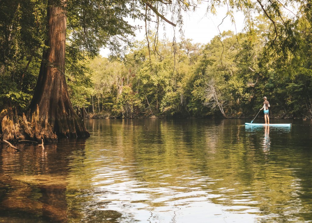 rivière paddle springs ginnie floride