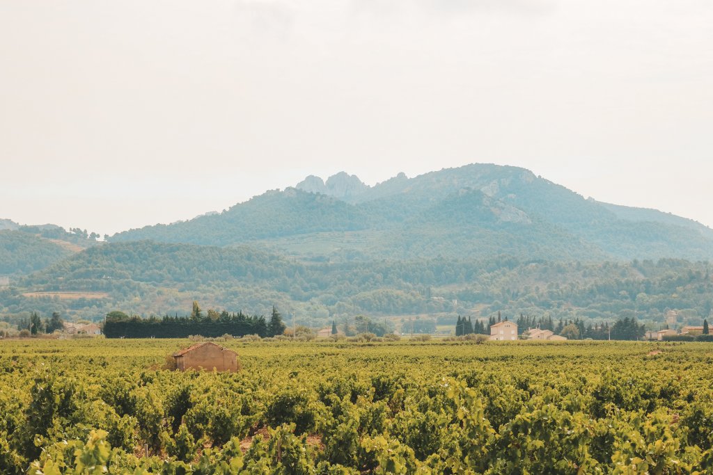 dentelles de montmirail vaucluse