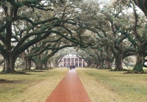 plantations oak alley usa louisiane