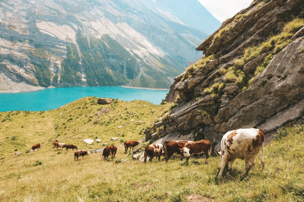 randonnée suisse montagne oeschinensee