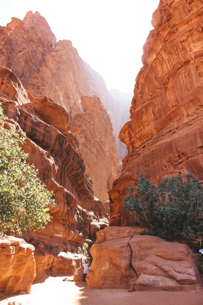 Canyon désert de Wadi Rum Jordanie