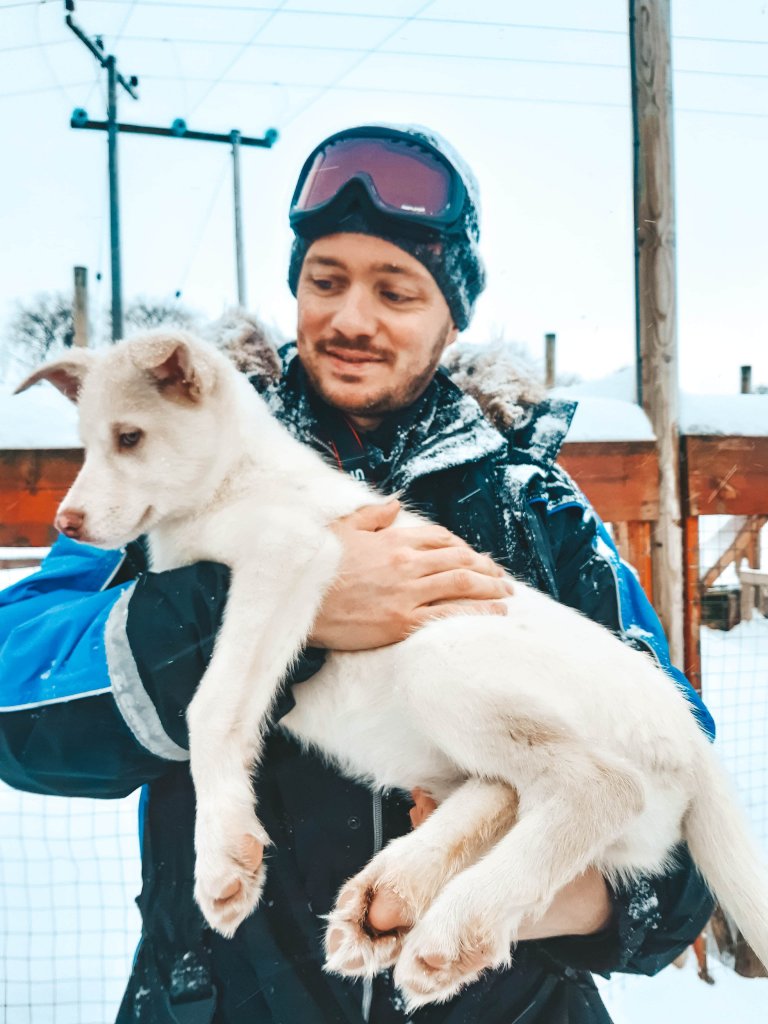 Chiot dans les bras chien de traineau tromso norvege