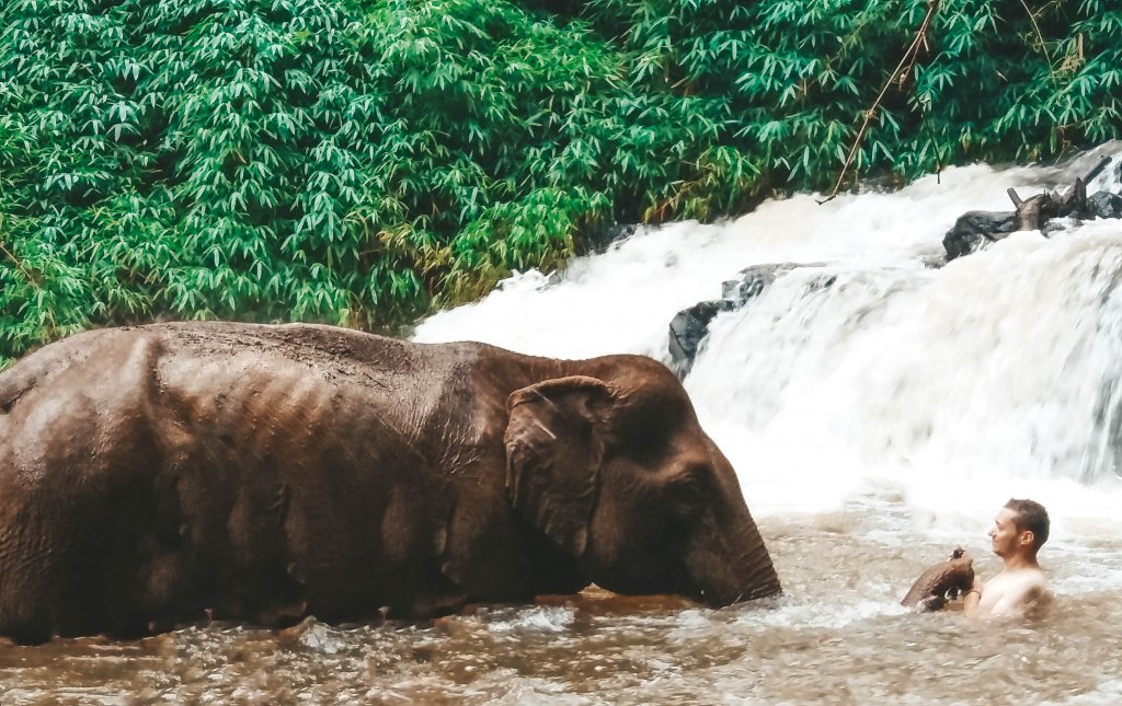 Bain avec un elephant cascade mondulkiri project cambodge