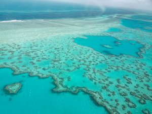 Coeur dans le récif australien grande barriere de corail