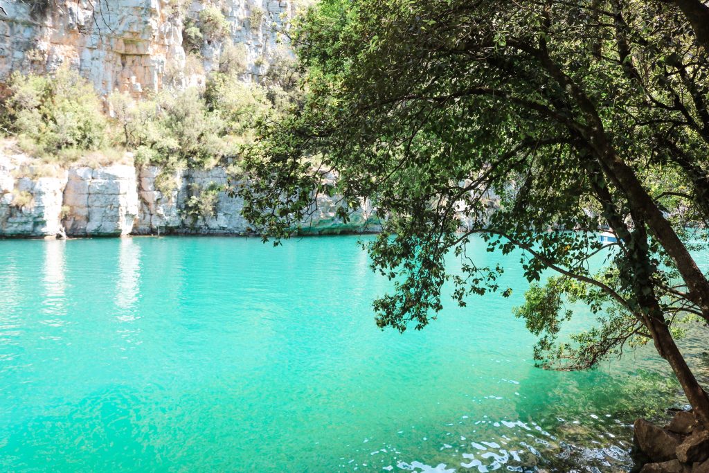 Eau et végétation basses gorges du Verdon